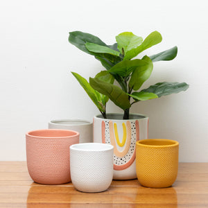 Pots and Planters