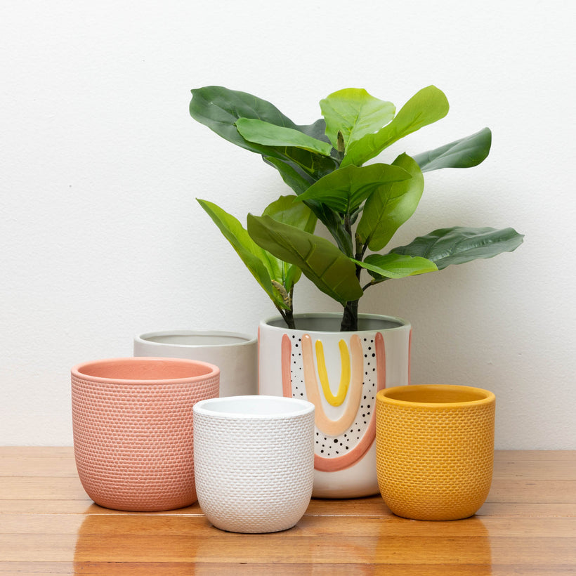 Pots and Planters